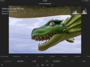 Screen shot of editing screen in Lightroom Mobile