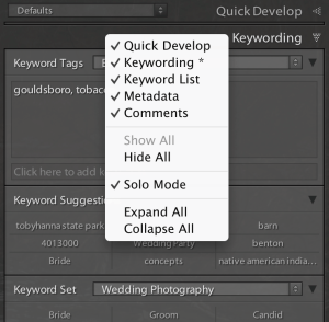 Image 2: Turning on Solo Mode. 