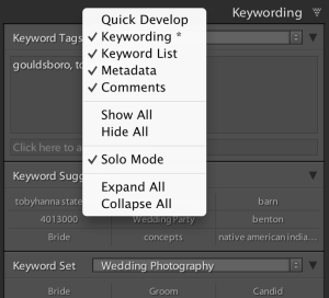 Image 3: To suppress the display of a panel, right click on the title bar of any panel in the sidebar and click on the name of the panel in the menu. 