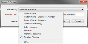 File Naming drop-down menu