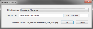 Rename Photos window