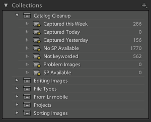 Screenshot of the Collection panel displaying a Collection Set titled "Catalog Cleanup"