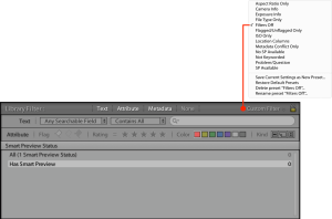 Screenshot of the filter bar and present menu