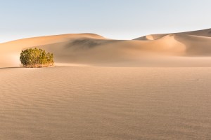 2015-04-07_Death Valley_Zwit_0239